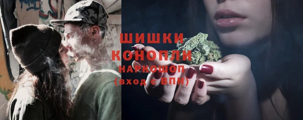 прущие грибы Баксан