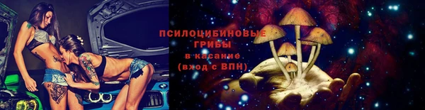 прущие грибы Баксан
