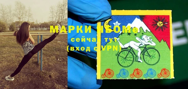 прущие грибы Баксан