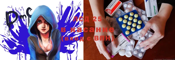 прущие грибы Баксан