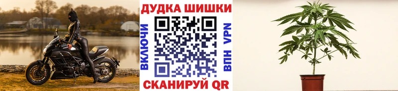 даркнет сайт  mega рабочий сайт  МАРИХУАНА Amnesia  Кропоткин 